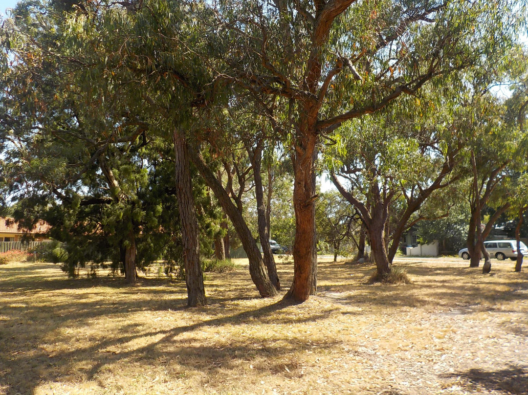 Ringwood Belgrave Railway Trail景点图片