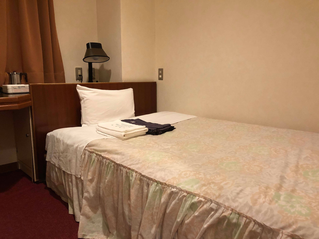 Daiichi Business Hotel Matsuya主图