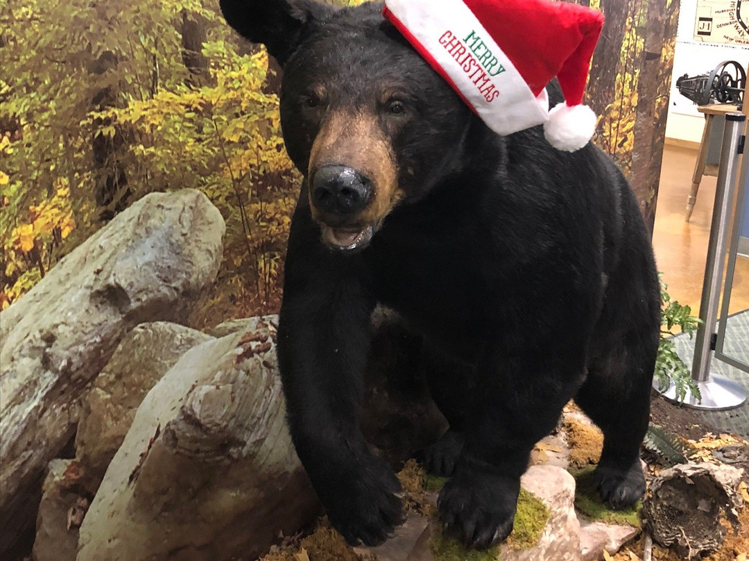 Remington Nature Center-圣约瑟夫必去景点