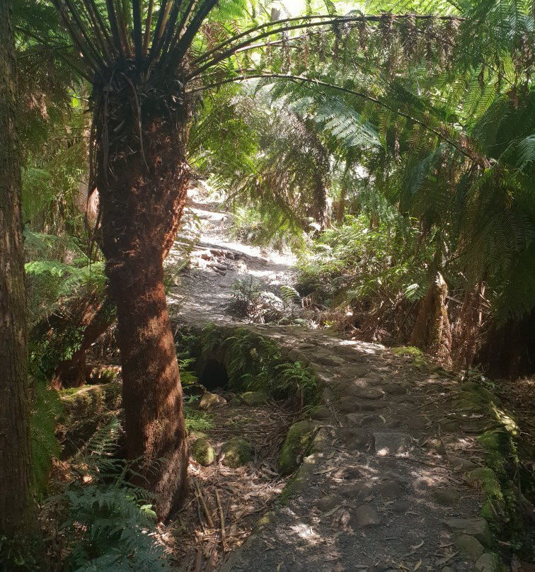 La La Falls-华伯登必去景点