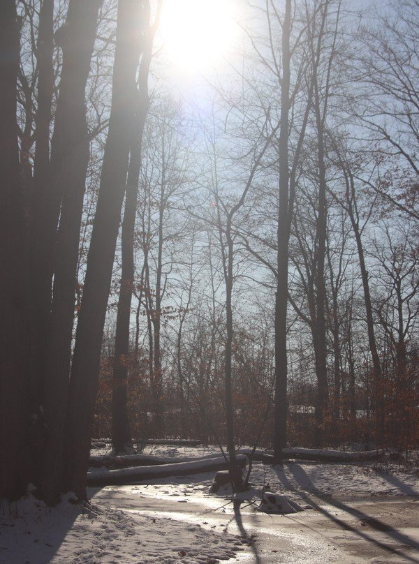 Woodlawn Park-Welland必去景点