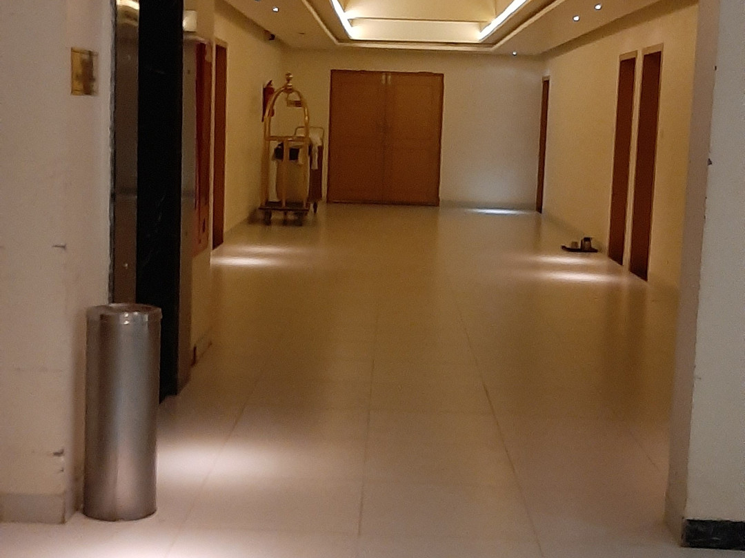 The Grand White Palace主图