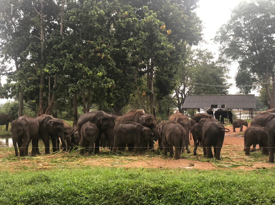 Tour with Rasad-瓦勒迦玛必去景点