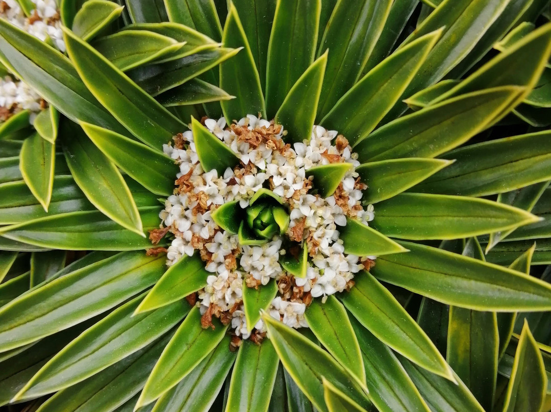 瓦斯卡兰国家公园-瓦斯卡兰国家公园必去景点