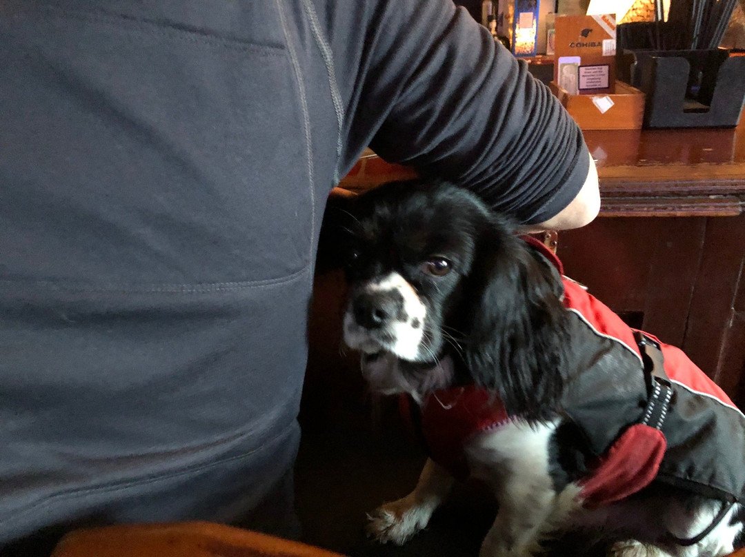 Hidden Howth Experiences-霍斯必去景点