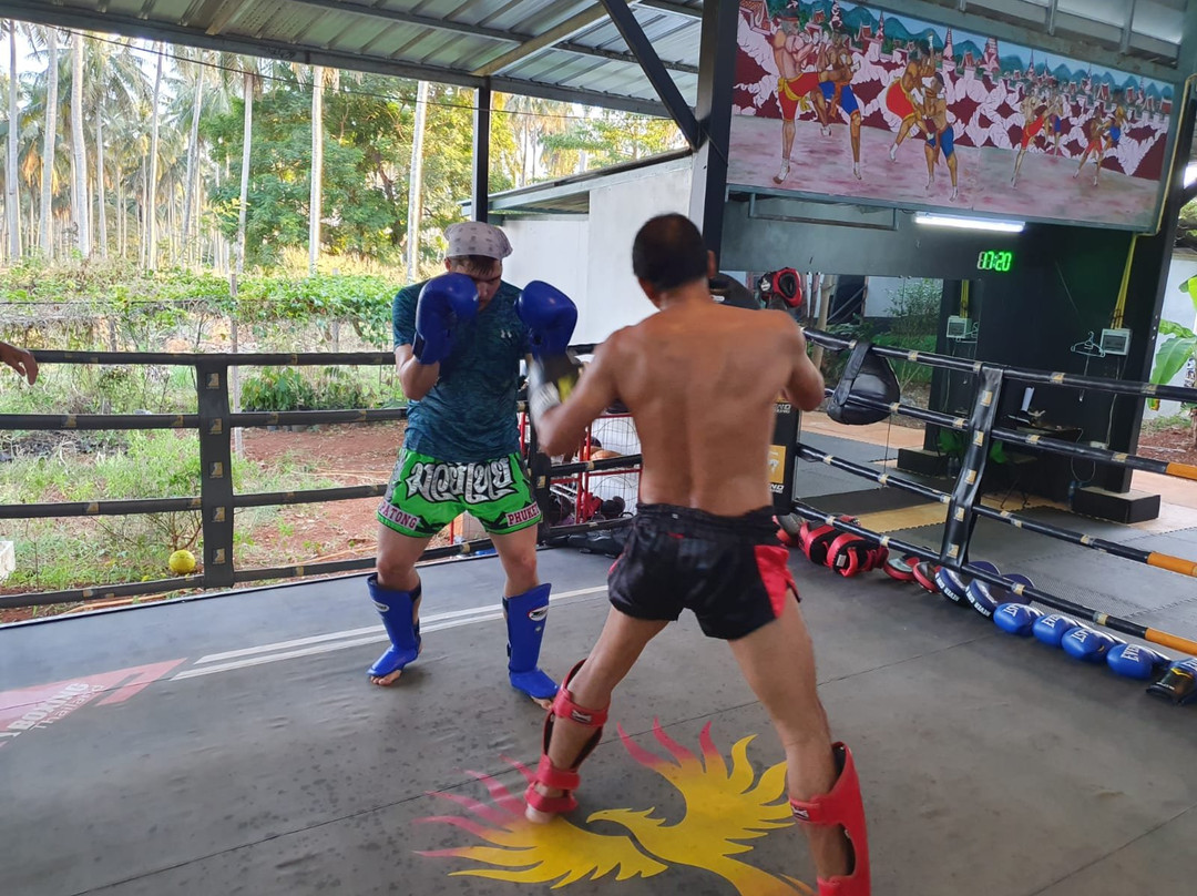 Muay Thai Koh Mak Gym The Phoenix Arises-玛岛必去景点