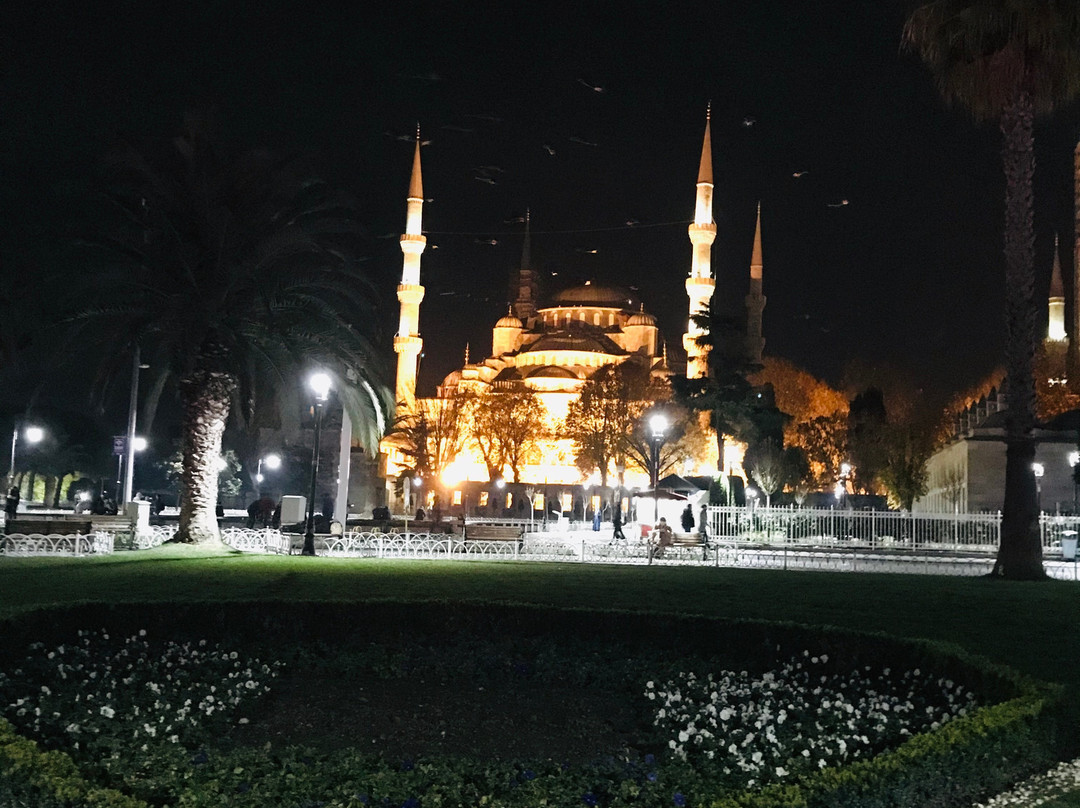 Istanbul Segway Tours-伊斯坦布尔必去景点