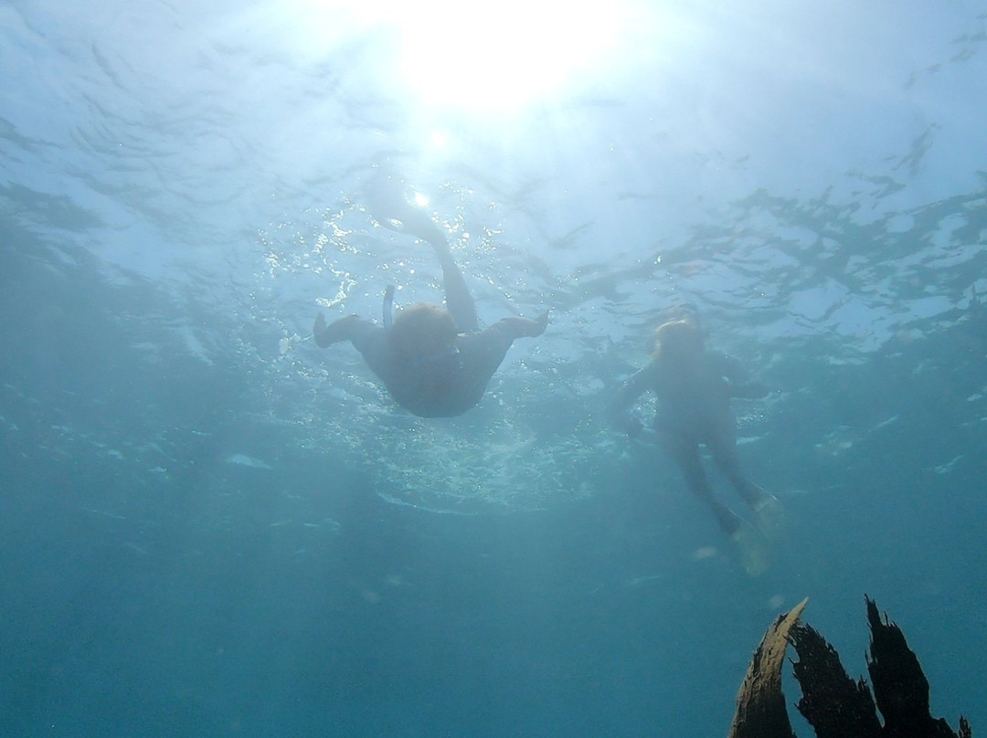 Lower Keys Adventure Charters景点图片