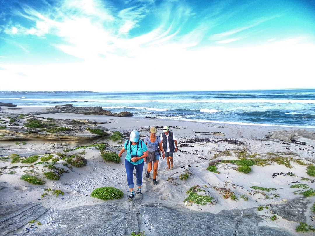 Bellamente Sirene Guesthouse主图