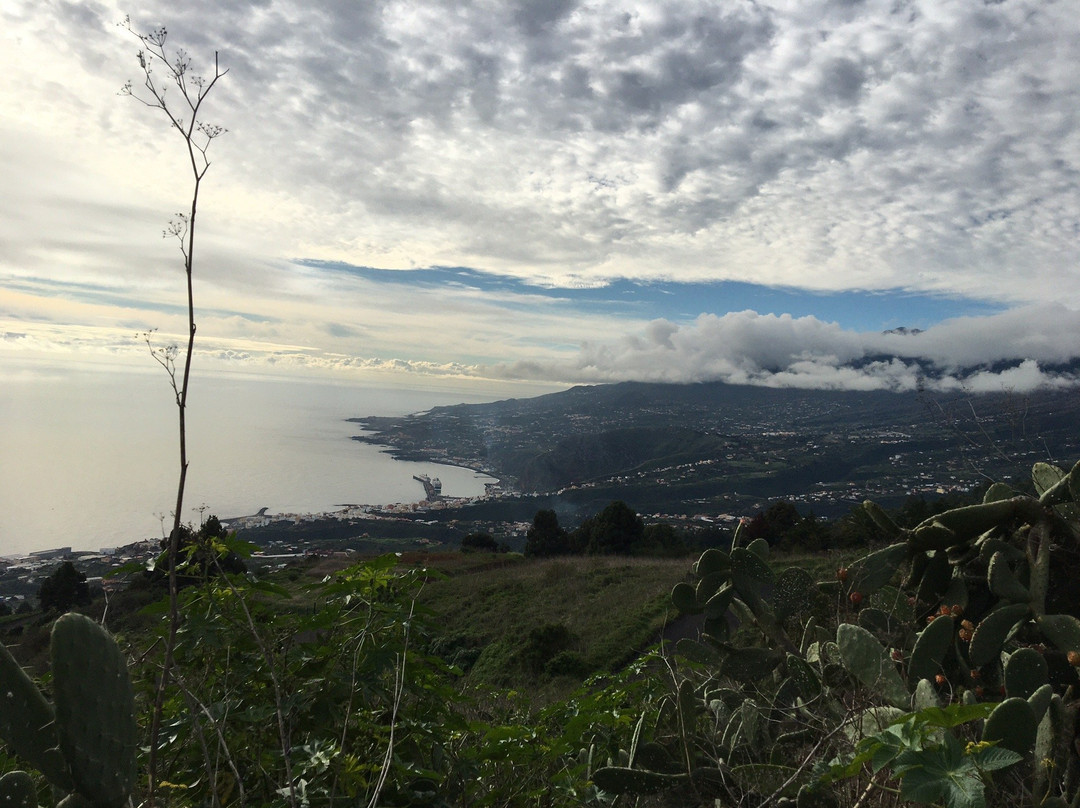 Parque Natural de Cumbre Vieja景点图片