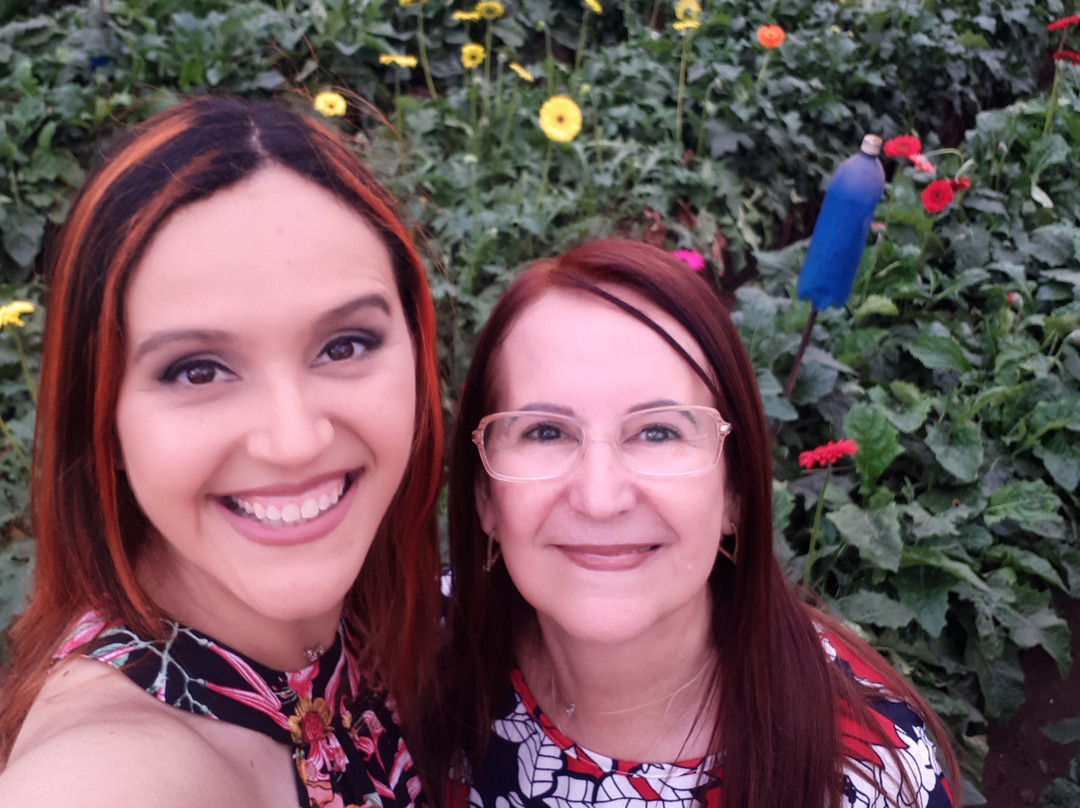 Theos Passeio Turistico-Holambra必去景点