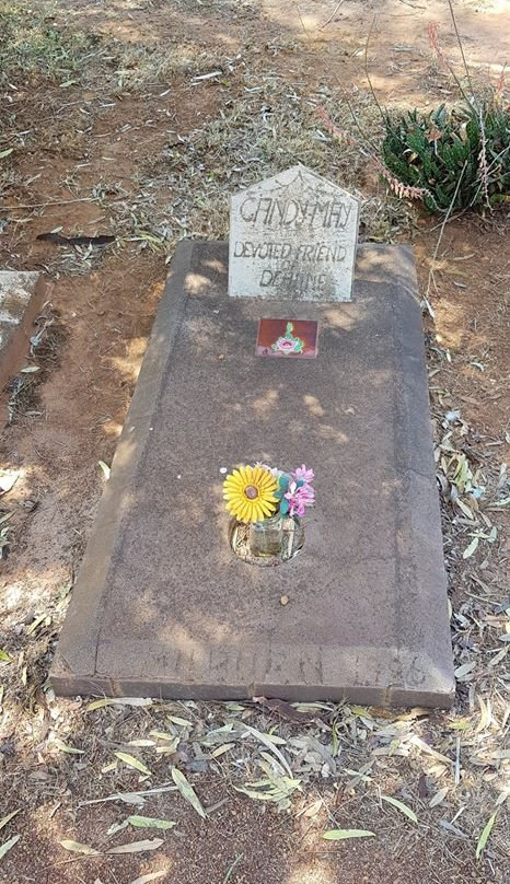 Corrigin Dog Cemetery景点图片