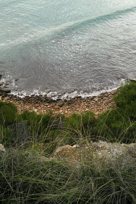 Marina Cabo Roig景点图片