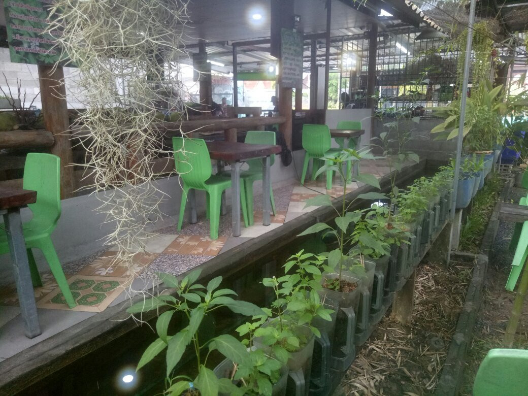 ครัววาฮิด ร้านข้าวแกงโบราณ โรตีอาหรับ
