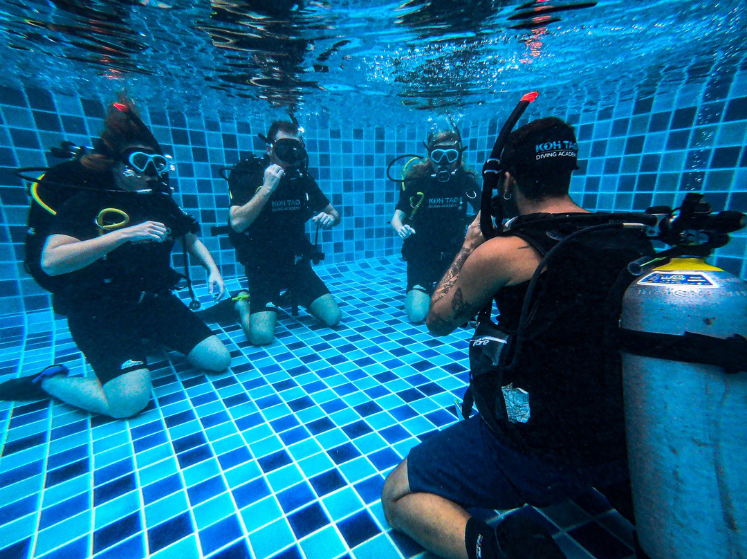 Koh Tao Diving Academy-涛岛必去景点