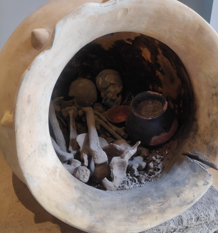 Museo de Arqueologia-穆尔西亚必去景点