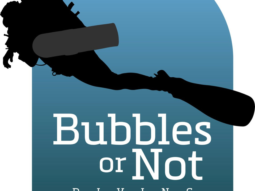 Bubbles or Not-Harlem必去景点