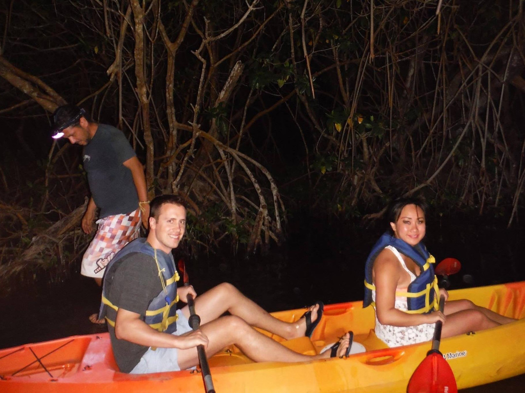 Vieques Kayaks Bio Bay景点图片