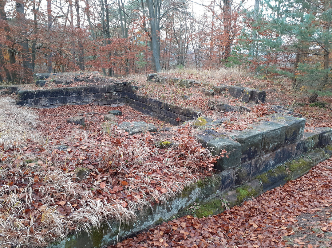 Burgruine Perlenberg-Bann必去景点