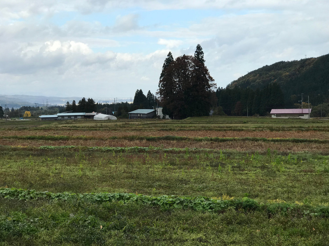 Sumomoyama Tannan Yamanokami景点图片