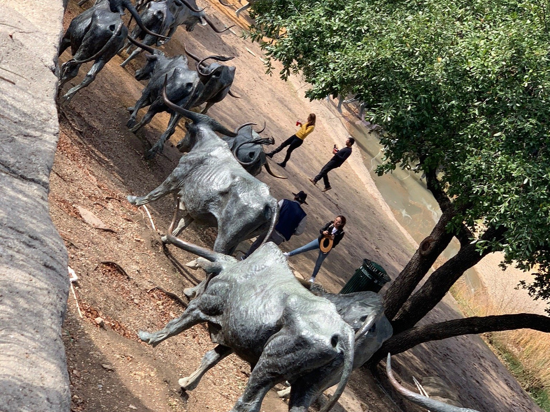 Dallas Cattle Drive Sculptures景点图片