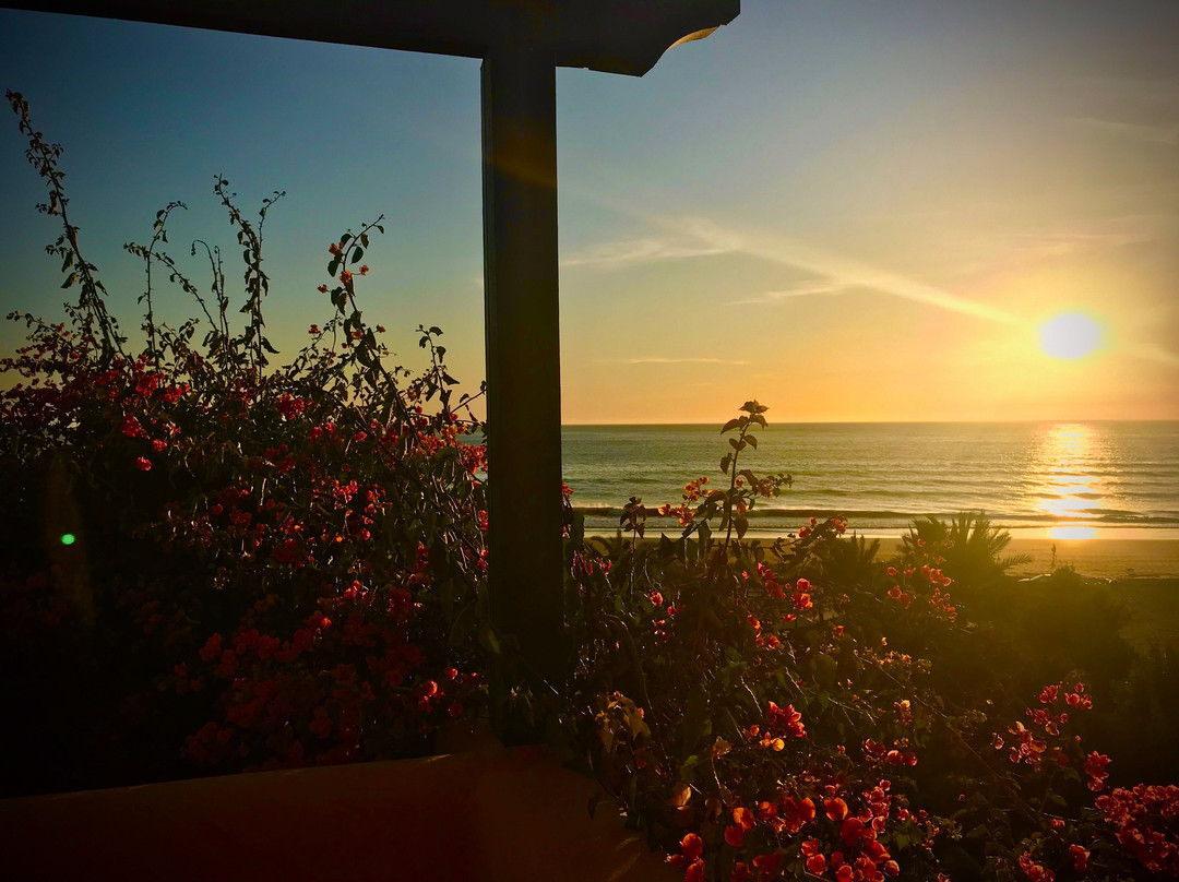 Paradis Plage Surf Yoga & Spa Resort主图