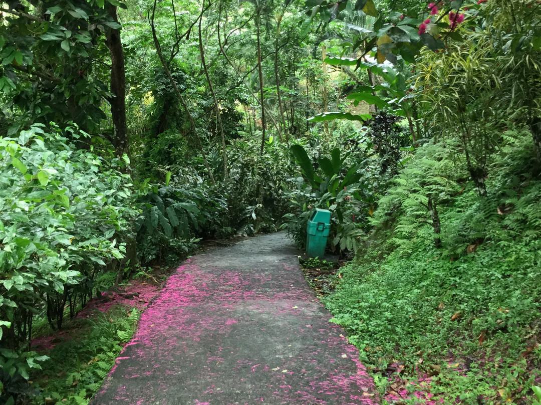 Nirraky Tours Grenada-St. George's必去景点