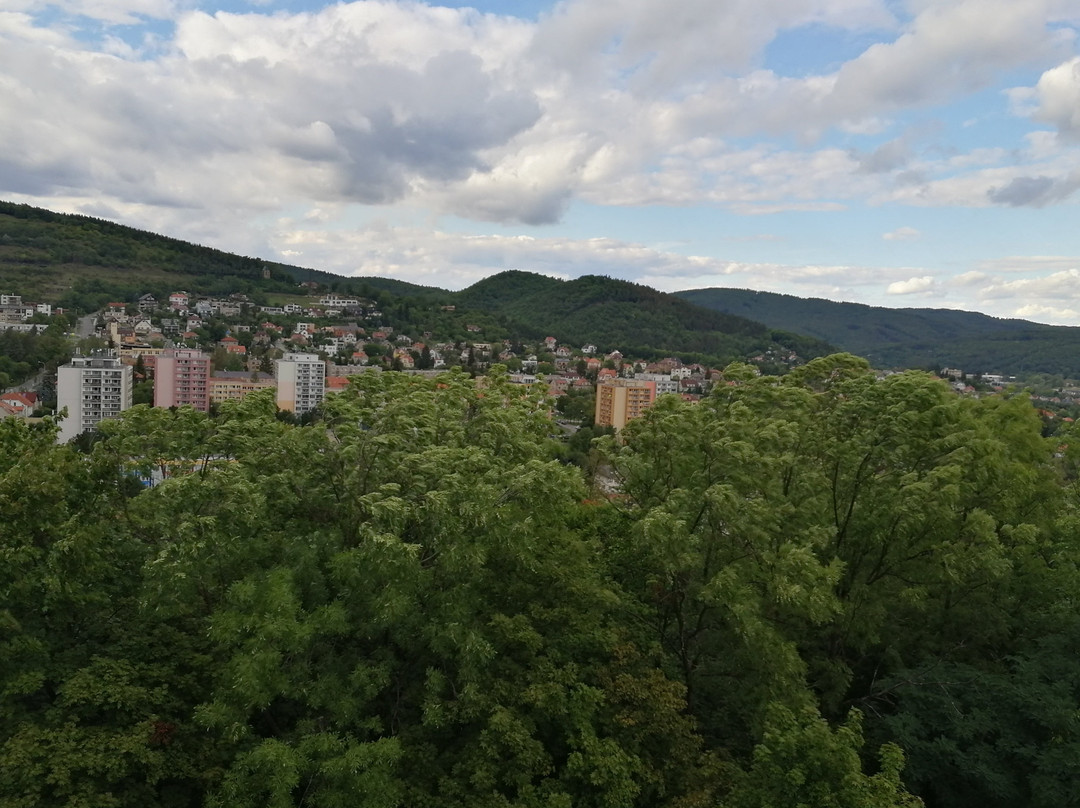 Lookout tower Městská hora景点图片