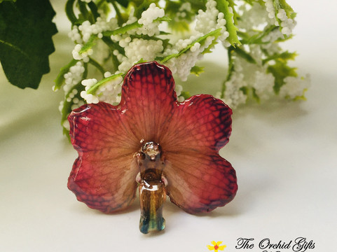 Orchid Gifts of Madeira-沙尔必去景点