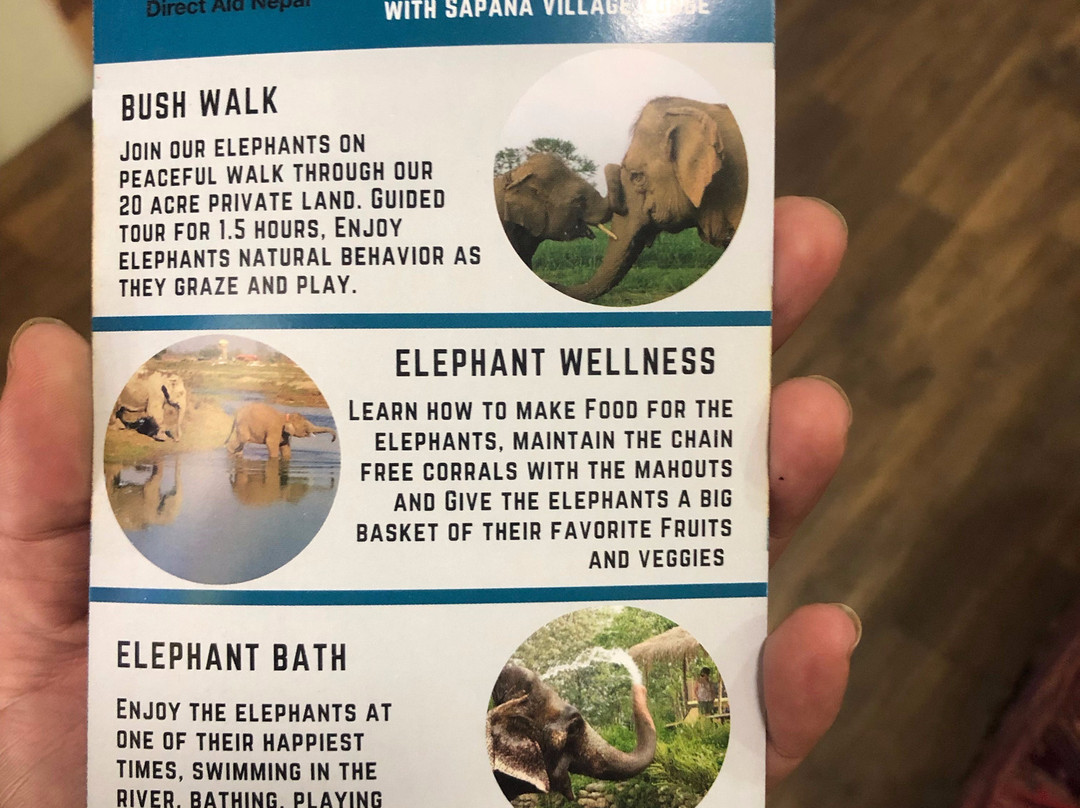 Everything Elephant-苏拉哈必去景点