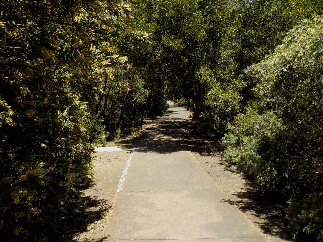 Werribee River景点图片