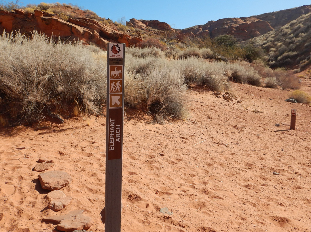 Red Cliffs National Conservation Area-圣乔治必去景点