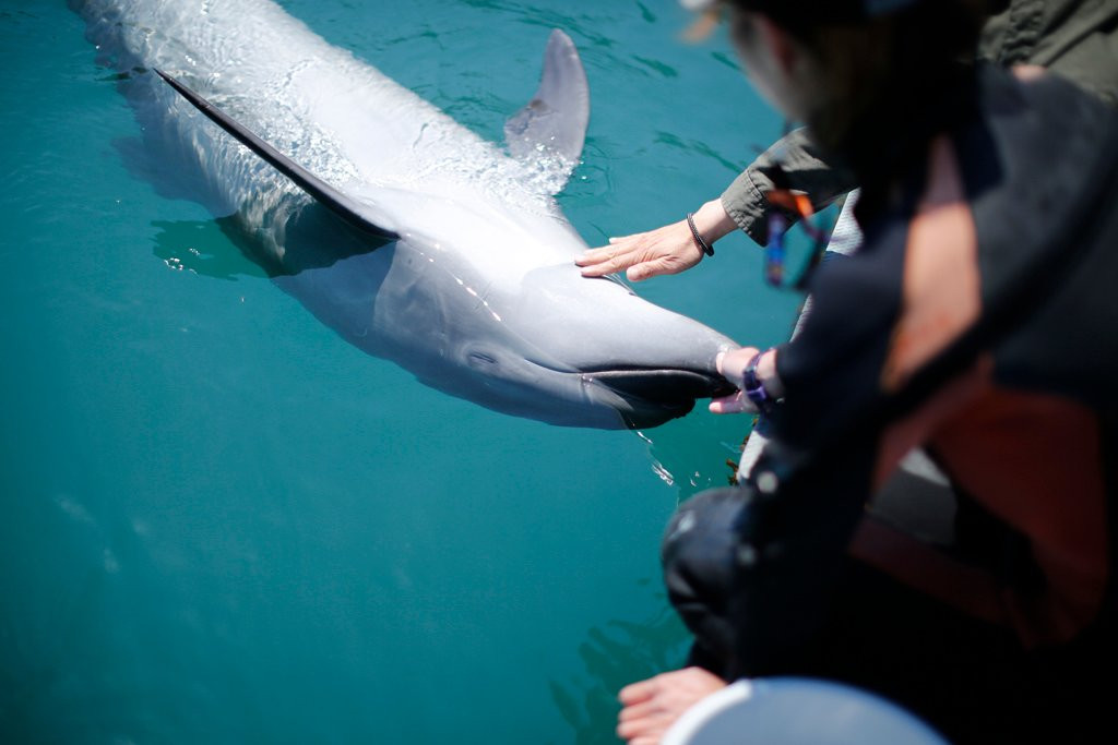 Muroto Dolphins Center-室户市必去景点