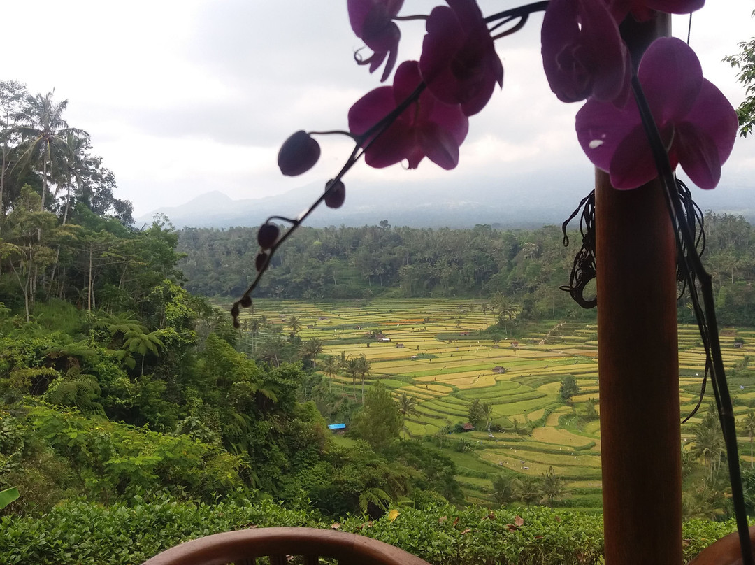 Mahagiri Panoramic Resort & Restaurant主图