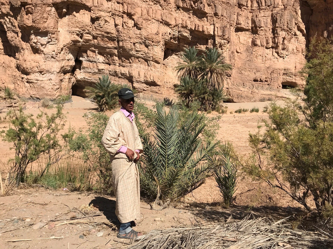 Oasis Dar Ouanou主图