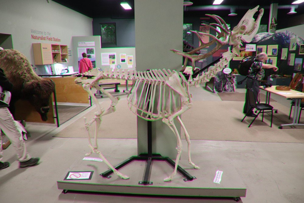 Montana Natural History Center-米苏拉必去景点