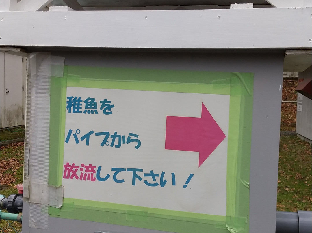 Chitose Sake Masu no Mori Sake Masu Johokan-千岁市必去景点