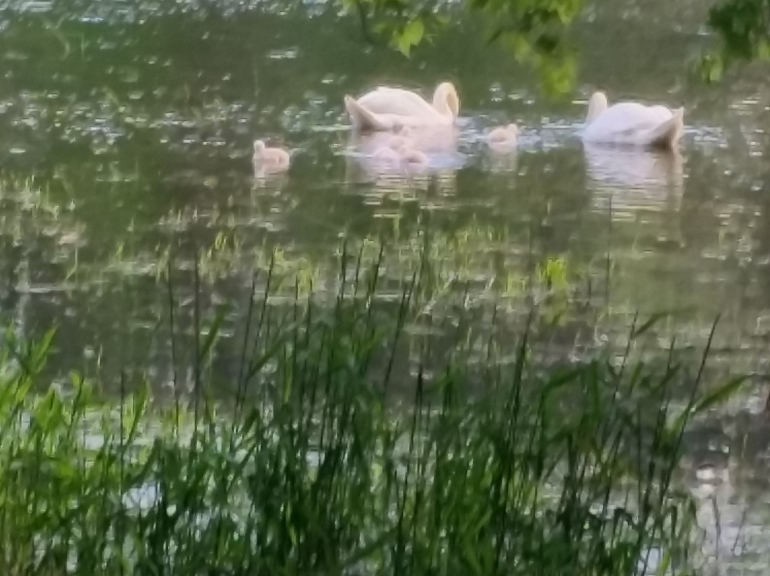 Pontiac Lake Recreation Area-Waterford必去景点