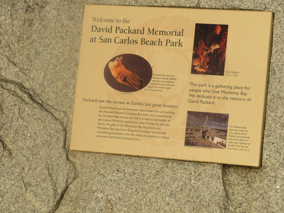 San Carlos Beach-蒙特雷必去景点