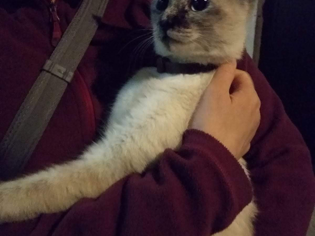 Quinta Sao Miguel de Arcos主图