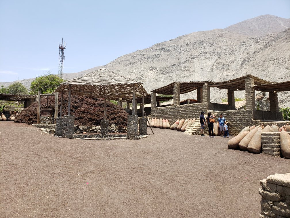 La Reyna de Lunahuana-Lunahuana必去景点