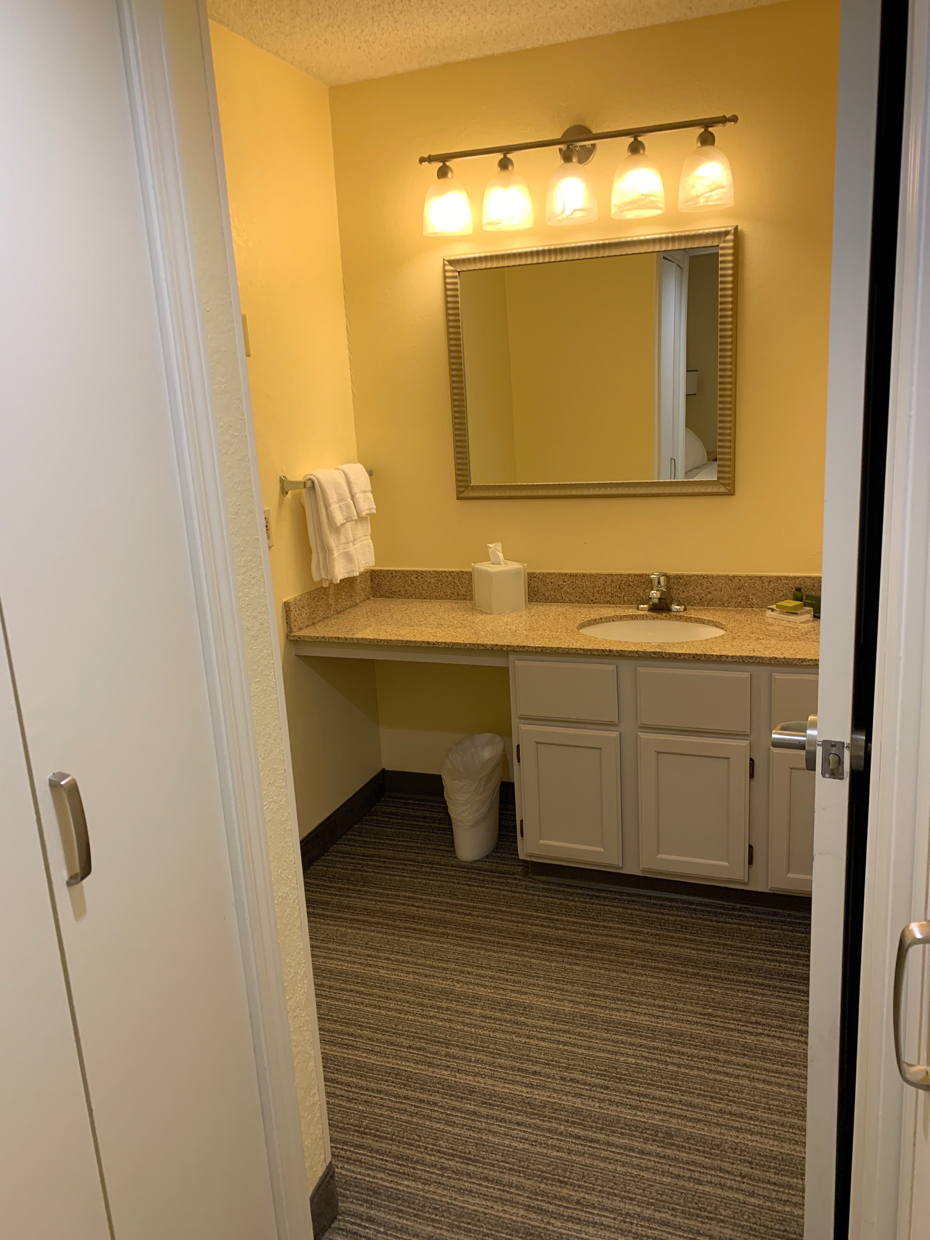 Sonesta Es Suites Williston, Vt-浴室