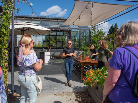 Paper Napan Walkabouts-纳帕必去景点