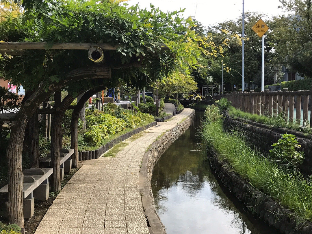 Furukawa Shinsui Park-江戸川区必去景点