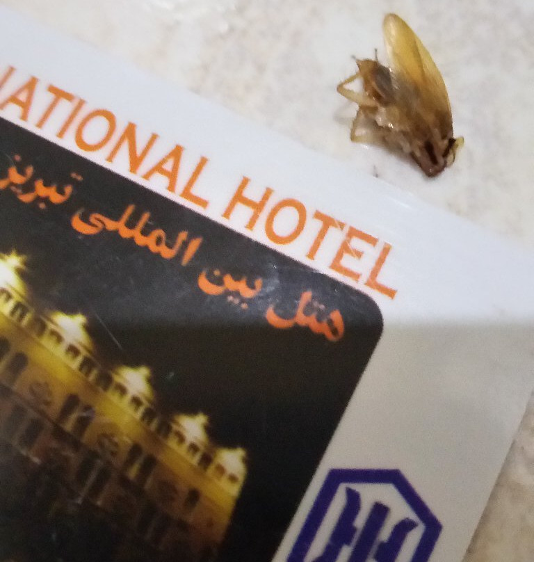 Tabriz International Hotel主图