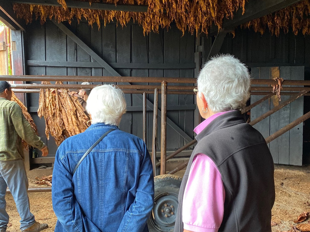 Rabbit Circle-纳什维尔必去景点