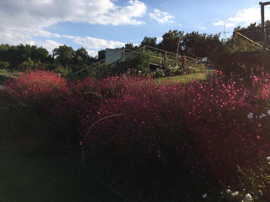 Roccafiore Winery-托迪必去景点