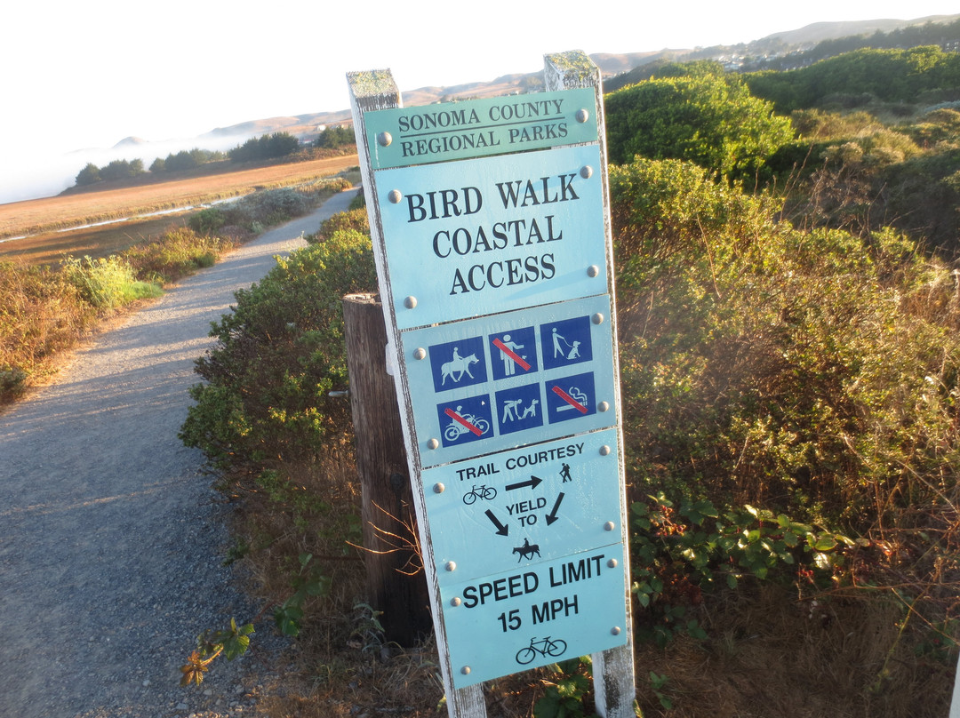 Bird Walk Coastal Access Trail景点图片