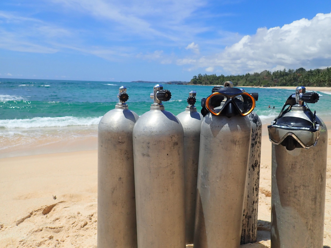 Ruhunu Diving Center Tangalle-唐卡拉必去景点