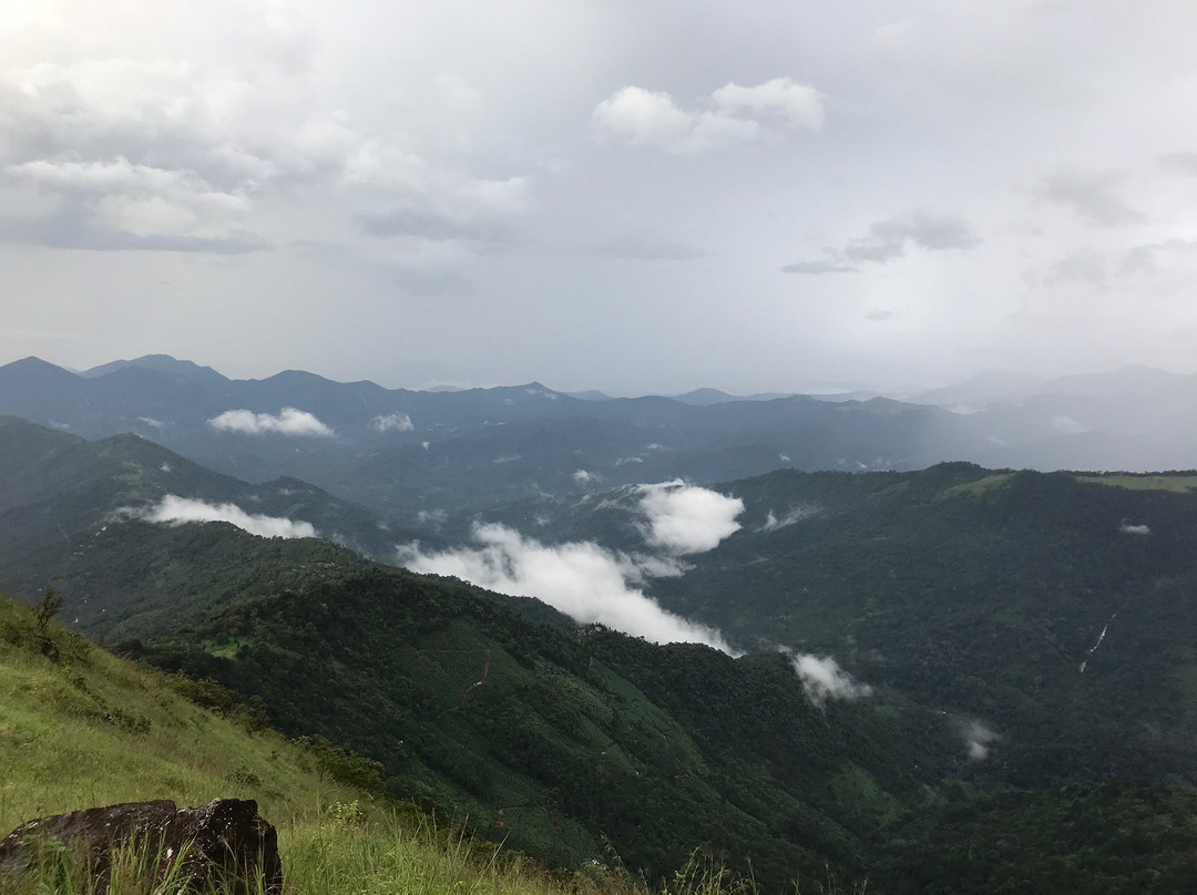 Paithalmala Hill Station景点图片